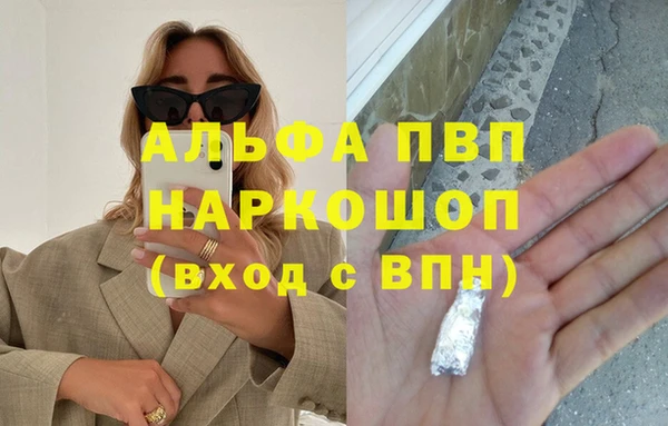 прущие грибы Козловка
