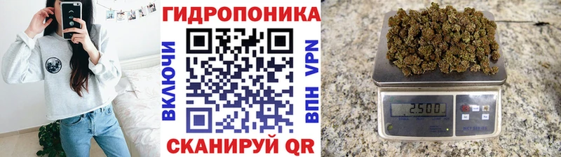 hydra сайт  как найти закладки  Химки  Бошки марихуана планчик 